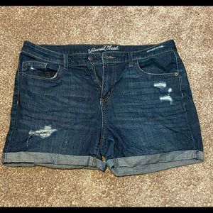 Slightly Ripped Jean Shorts Size:14